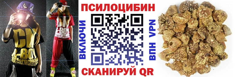 как найти наркотики  Красный Сулин  Псилоцибиновые грибы Psilocybine cubensis 