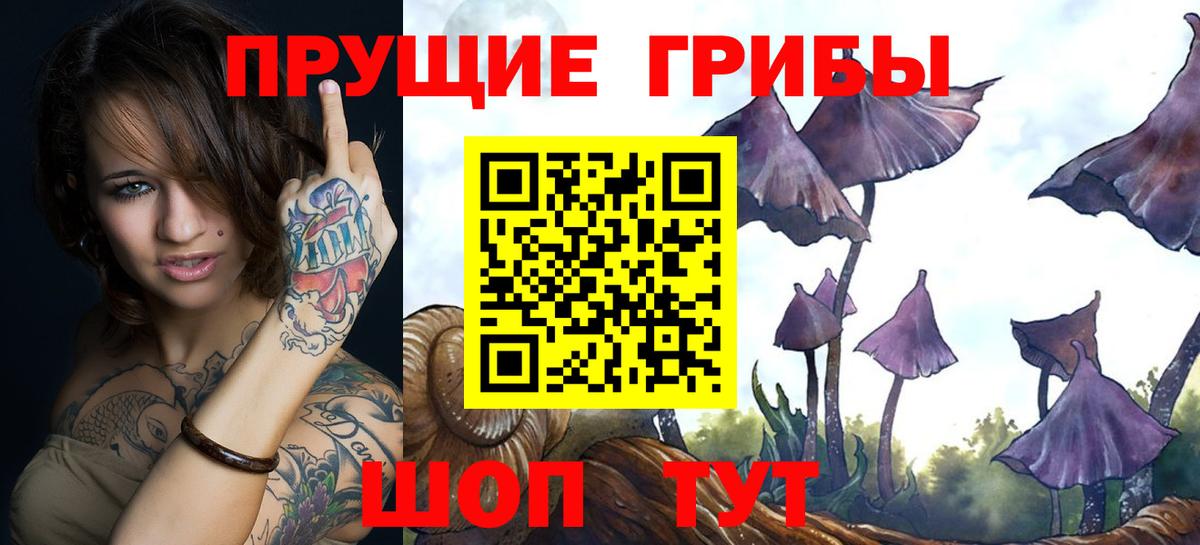 Галлюциногенные грибы мицелий Красный Сулин