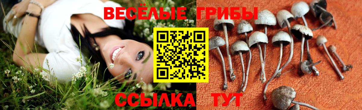 Галлюциногенные грибы мухоморы  Псилоцибиновые грибы Cubensis  Красный Сулин  Вход с VPN 