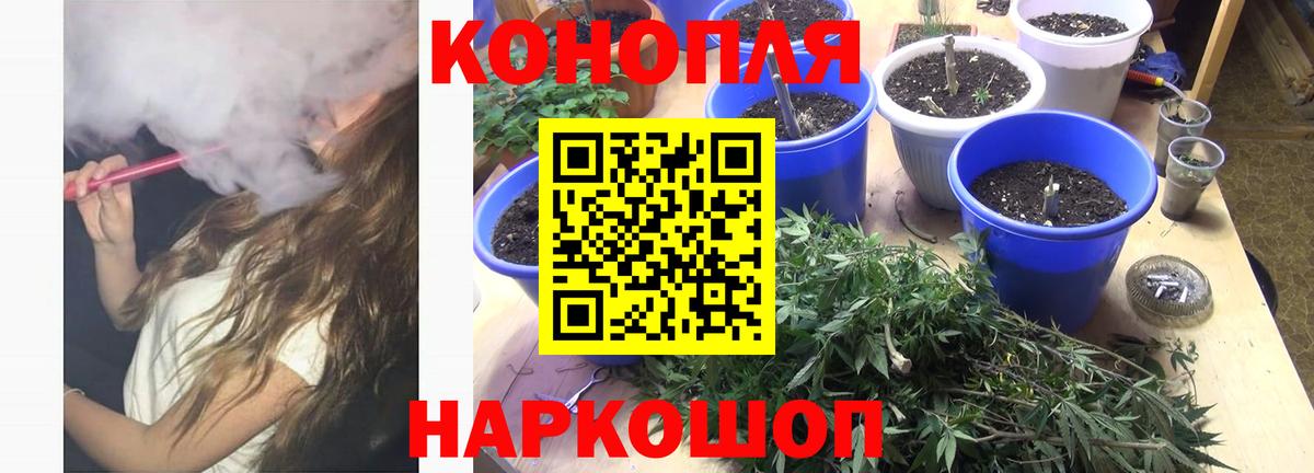 Бошки Шишки Ganja  Вход с VPN  Конопля конопля  Красный Сулин 